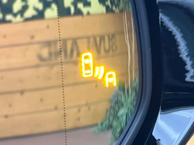 �y�u���C���h�X�|�b�g���j�^�[�z���s���A�h�A�~���[�̎��p�ɂȂ�₷���ӏ��Ɍ㑱�Ԃ��ڋ߂���ƃT�C�h�~���[�̃����Y�Ɍx����\��!�h���C�o�[�ɒ��ӊ��N�����Ă���܂��B