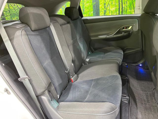 �㕔���Ȃ��C�ɂȂ�悤�ȃL�Y�E�����ւ��蓙�A�傫�ȃ_���[�W�͂Ȃ��A�ǍD�ȏ�Ԃł��B