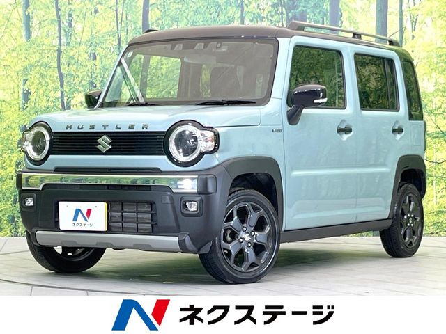 ハスラータフワイルド