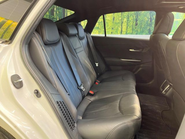 �㕔���Ȃ��C�ɂȂ�悤�ȃL�Y�E�����ւ��蓙�A�傫�ȃ_���[�W�͂Ȃ��A�ǍD�ȏ�Ԃł��B