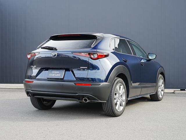 CX-301.8 XD Lパッケージ