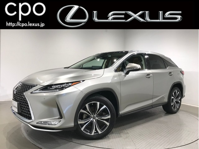 RX300 バージョンL