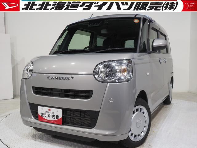 ムーヴキャンバスセオリー X