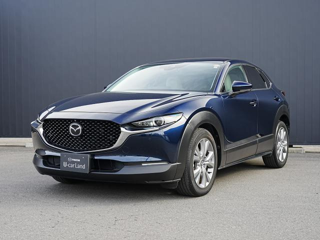 CX-301.8 XD Lパッケージ