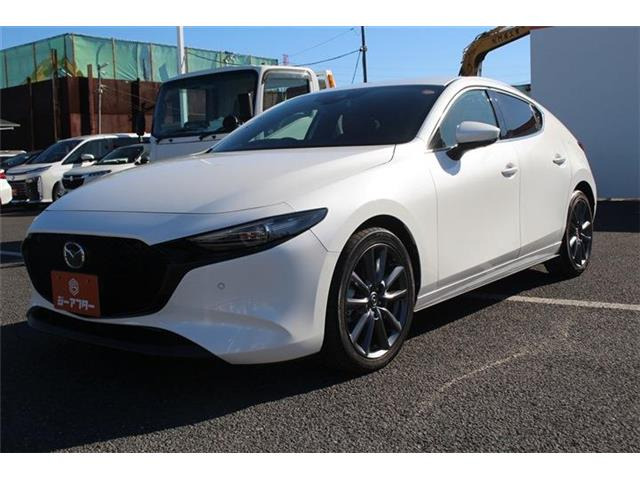 ���Ǝҗl�ւ̔̔��͂��f�肳���Ă��������܂��B �Ԍ������ԗ��̏ꍇ�́A�Ԍ����擾�������x�������z�ŕ\�����Ă���܂��B