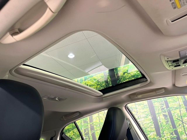 �y�T�����[�t�z�J���������Ղ�̊󏭑����A�T�����[�t����������Ă��܂�!�ԓ��ɖ�����������ꂽ��i�F���y���ވȊO�ɂ��A�ԓ��̋�C���ȒP�Ɋ��C�ł��ĉ��K�ł�!