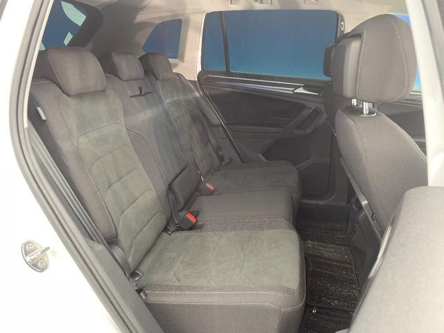 ���㕔���Ȃ��C�ɂȂ�悤�ȃL�Y�E�����ւ��蓙�A�傫�ȃ_���[�W�͂Ȃ��A�ǍD�ȏ�Ԃł��B