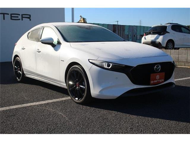 ���Ǝҗl�ւ̔̔��͂��f�肳���Ă��������܂��B �Ԍ������ԗ��̏ꍇ�́A�Ԍ����擾�������x�������z�ŕ\�����Ă���܂��B