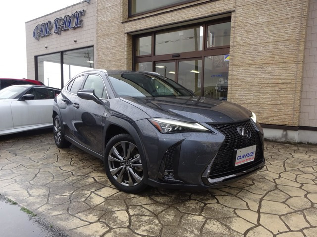 UX250h Fスポーツ