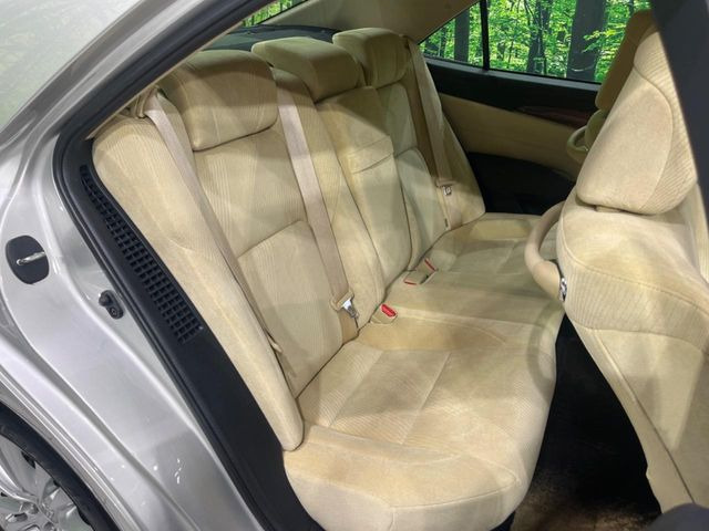 �㕔���Ȃ��C�ɂȂ�悤�ȃL�Y�E�����ւ��蓙�A�傫�ȃ_���[�W�͂Ȃ��A�ǍD�ȏ�Ԃł��B