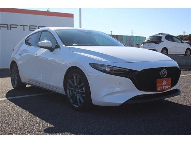 ���Ǝҗl�ւ̔̔��͂��f�肳���Ă��������܂��B �Ԍ������ԗ��̏ꍇ�́A�Ԍ����擾�������x�������z�ŕ\�����Ă���܂��B