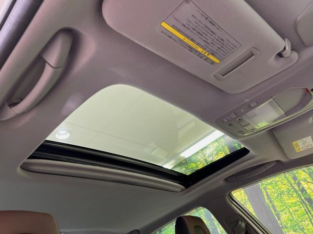 �y�T�����[�t�z�J���������Ղ�̊󏭑����A�T�����[�t����������Ă��܂�!�ԓ��ɖ�����������ꂽ��i�F���y���ވȊO�ɂ��A�ԓ��̋�C���ȒP�Ɋ��C�ł��ĉ��K�ł�!