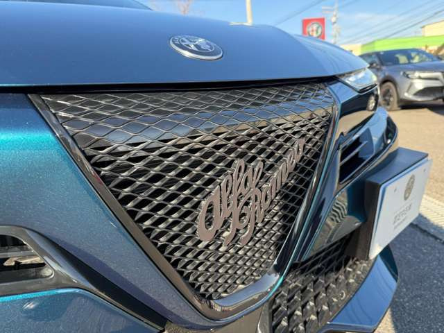 ジュニアイブリダ プレミアム