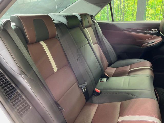 �㕔���Ȃ��C�ɂȂ�悤�ȃL�Y�E�����ւ��蓙�A�傫�ȃ_���[�W�͂Ȃ��A�ǍD�ȏ�Ԃł��B