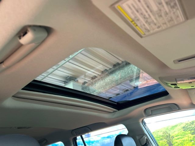 �y�T�����[�t�z�J���������Ղ�̊󏭑����A�T�����[�t����������Ă��܂�!�ԓ��ɖ�����������ꂽ��i�F���y���ވȊO�ɂ��A�ԓ��̋�C���ȒP�Ɋ��C�ł��ĉ��K�ł�!