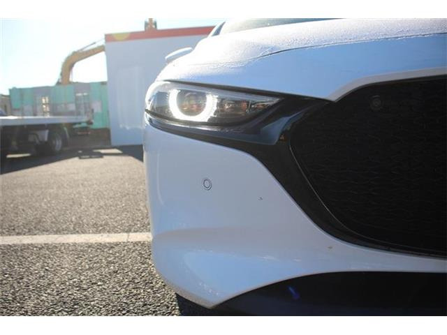 ���Ǝҗl�ւ̔̔��͂��f�肳���Ă��������܂��B �Ԍ������ԗ��̏ꍇ�́A�Ԍ����擾�������x�������z�ŕ\�����Ă���܂��B