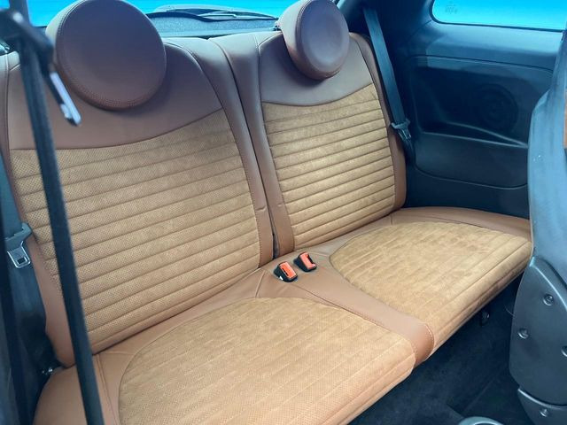 ���㕔���Ȃ��C�ɂȂ�悤�ȃL�Y�E�����ւ��蓙�A�傫�ȃ_���[�W�͂Ȃ��A�ǍD�ȏ�Ԃł��B