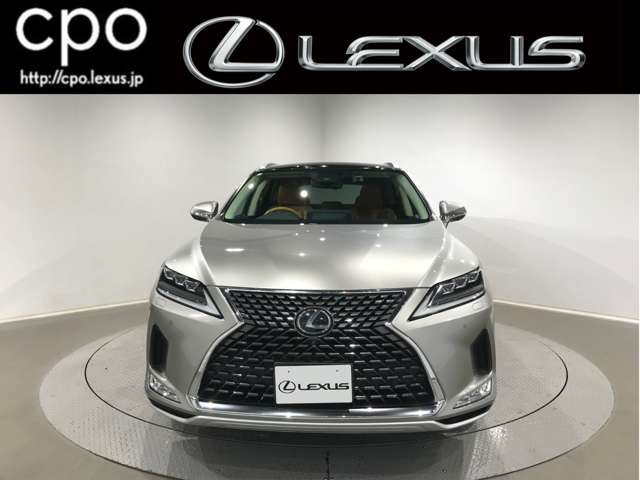 RX300 バージョンL