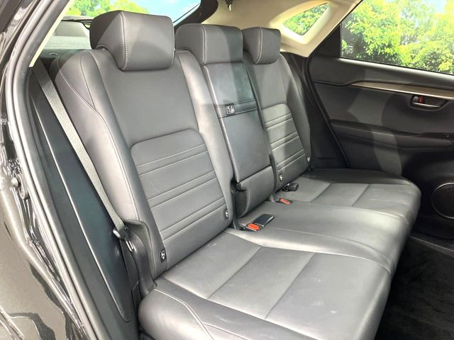 �㕔���Ȃ��C�ɂȂ�悤�ȃL�Y�E�����ւ��蓙�A�傫�ȃ_���[�W�͂Ȃ��A�ǍD�ȏ�Ԃł��B