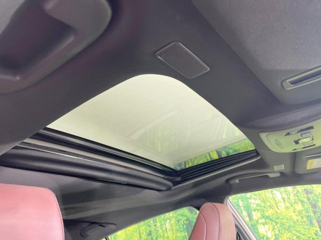 �y�T�����[�t�z�{�^���ЂƂŊJ�\!�J���������Ղ�̃T�����[�t����������Ă��܂�!�ԓ��ɖ�����������ꂽ��i�F���y���ވȊO�ɂ��A��ǂ݂����Ȏԓ��̋�C���ȒP�Ɋ��C�ł��ĉ��K�ł�!