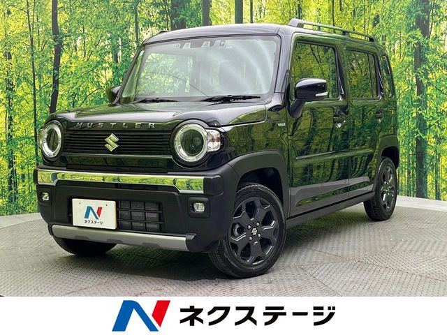 ハスラータフワイルド