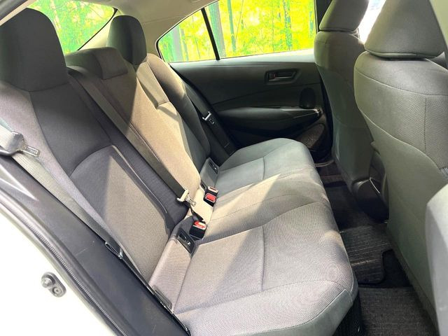 �㕔���Ȃ��C�ɂȂ�悤�ȃL�Y�E�����ւ��蓙�A�傫�ȃ_���[�W�͂Ȃ��A�ǍD�ȏ�Ԃł��B