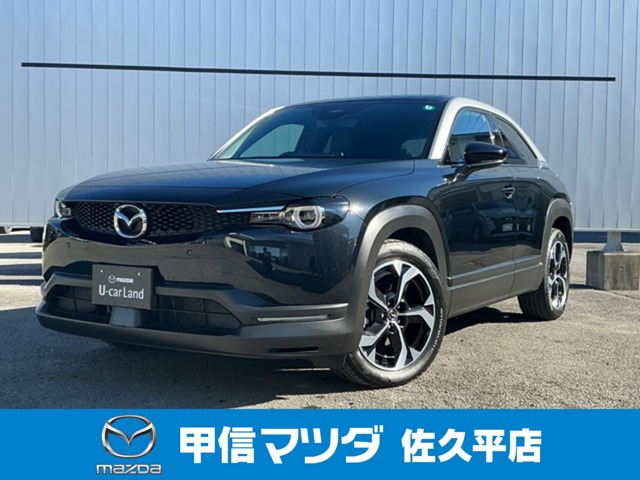 MX-302.0 ナチュラル モノトーン