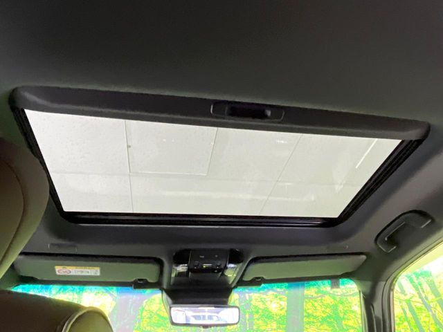 �y�T�����[�t�z�J���������Ղ�̊󏭑����A�T�����[�t����������Ă��܂�!�ԓ��ɖ�����������ꂽ��i�F���y���ވȊO�ɂ��A�ԓ��̋�C���ȒP�Ɋ��C�ł��ĉ��K�ł�!