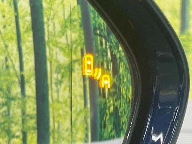 �y�u���C���h�X�|�b�g���j�^�[�z���s���A�h�A�~���[�̎��p�ɂȂ�₷���ӏ��Ɍ㑱�Ԃ��ڋ߂���ƃT�C�h�~���[�̃����Y�Ɍx����\��!�h���C�o�[�ɒ��ӊ��N�����Ă���܂��B