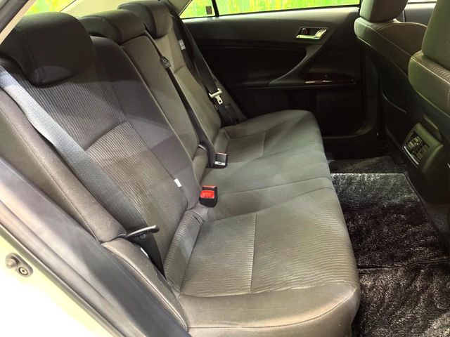 �㕔���Ȃ��C�ɂȂ�悤�ȃL�Y�E�����ւ��蓙�A�傫�ȃ_���[�W�͂Ȃ��A�ǍD�ȏ�Ԃł��B