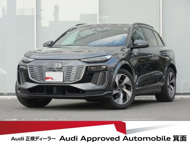 Q6 e-tronクワトロ アドバンスト Sラインパッケージ 4WD