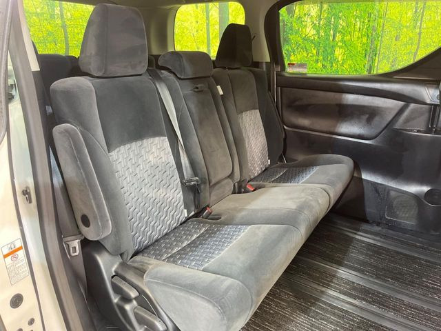 �㕔���Ȃ��C�ɂȂ�悤�ȃL�Y�E�����ւ��蓙�A�傫�ȃ_���[�W�͂Ȃ��A�ǍD�ȏ�Ԃł��B