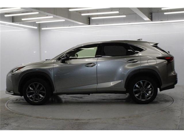 ���Ǝҗl�ւ̔̔��͂��f�肳���Ă��������܂��B �Ԍ������ԗ��̏ꍇ�́A�Ԍ����擾�������x�������z�ŕ\�����Ă���܂��B