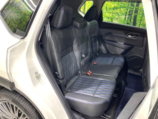 �㕔���Ȃ��C�ɂȂ�悤�ȃL�Y�E�����ւ��蓙�A�傫�ȃ_���[�W�͂Ȃ��A�ǍD�ȏ�Ԃł��B