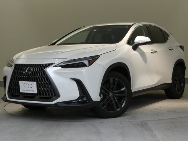 NX250 バージョンL