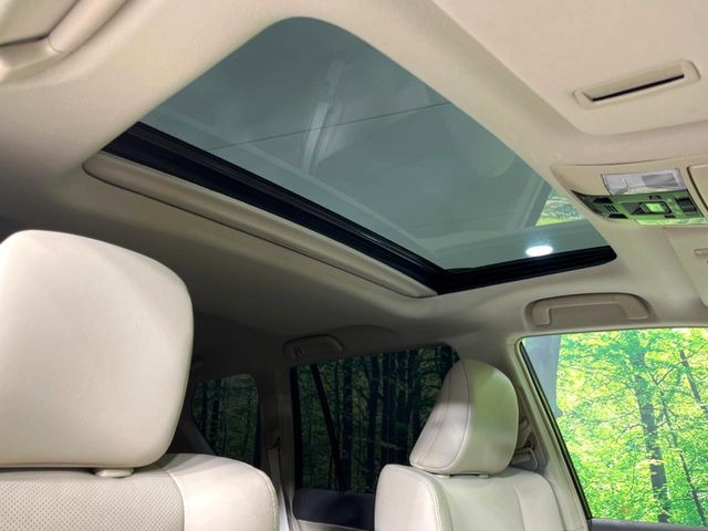 �y�T�����[�t�z�J���������Ղ�̊󏭑����A�T�����[�t����������Ă��܂�!�ԓ��ɖ�����������ꂽ��i�F���y���ވȊO�ɂ��A�ԓ��̋�C���ȒP�Ɋ��C�ł��ĉ��K�ł�!