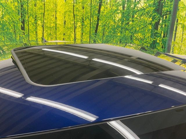 �y���[�����[�t�z�J���������Ղ�̊󏭑����A���[�����[�t����������Ă��܂�!�ԓ��ɖ�����������ꂽ��i�F���y���ވȊO�ɂ��A�ԓ��̋�C���ȒP�Ɋ��C�ł��ĉ��K�ł�!