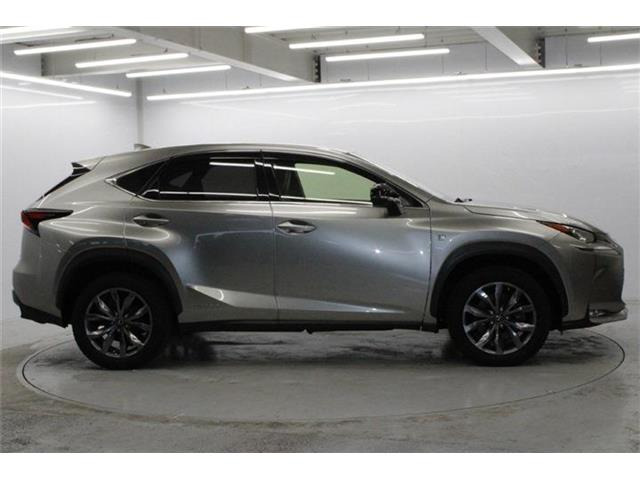 ���Ǝҗl�ւ̔̔��͂��f�肳���Ă��������܂��B �Ԍ������ԗ��̏ꍇ�́A�Ԍ����擾�������x�������z�ŕ\�����Ă���܂��B