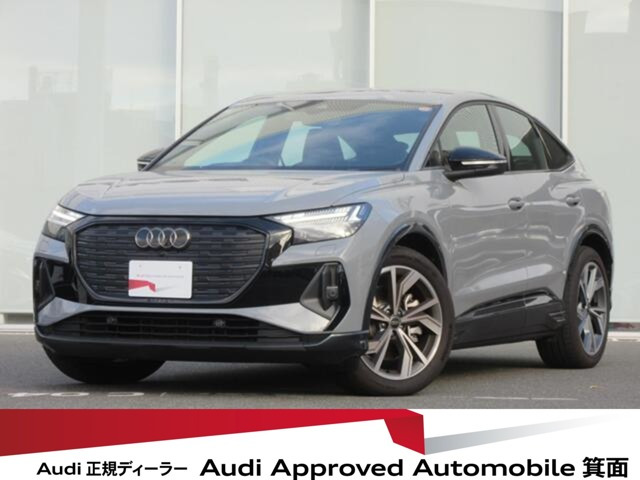 Q4スポーツバックe-tron45 Sライン