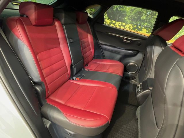 �㕔���Ȃ��C�ɂȂ�悤�ȃL�Y�E�����ւ��蓙�A�傫�ȃ_���[�W�͂Ȃ��A�ǍD�ȏ�Ԃł��B