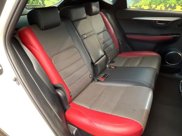 �㕔���Ȃ��C�ɂȂ�悤�ȃL�Y�E�����ւ��蓙�A�傫�ȃ_���[�W�͂Ȃ��A�ǍD�ȏ�Ԃł��B