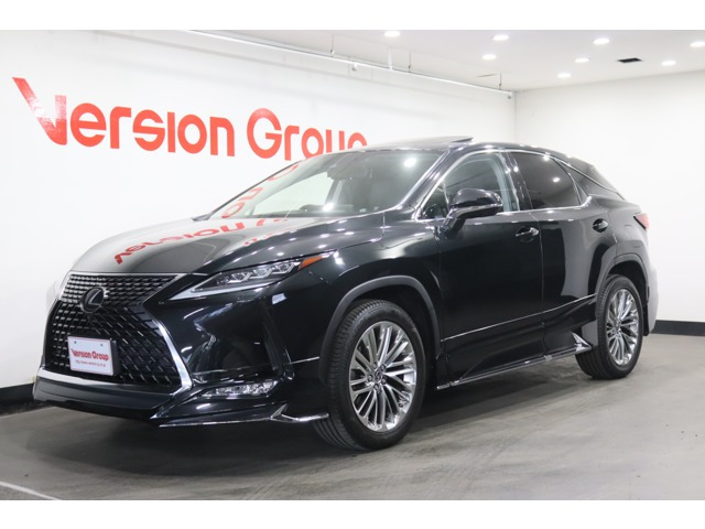 RX300 バージョンL