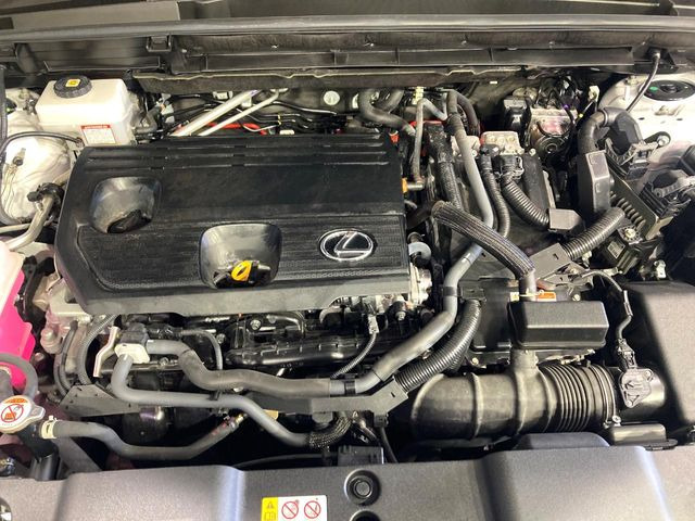 ���S���̃l�N�X�e�[�W���炨���񂹂��\��!�����̓X�܂ɓW�����Ă���N���}���C�ɂȂ�ꍇ���A�Ŋ��̓X�܂ł��������������Ƃ��\�ł�!���񎄂����ɗv�]������������������!���ʓr��p