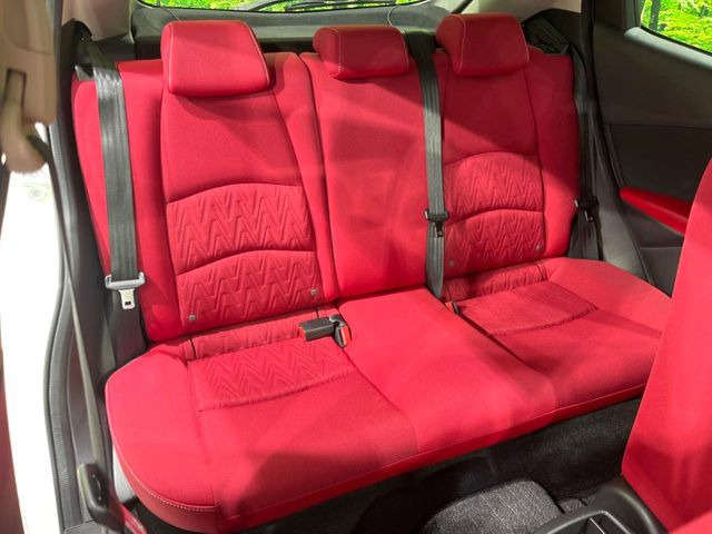 �㕔���Ȃ��C�ɂȂ�悤�ȃL�Y�E�����ւ��蓙�A�傫�ȃ_���[�W�͂Ȃ��A�ǍD�ȏ�Ԃł��B