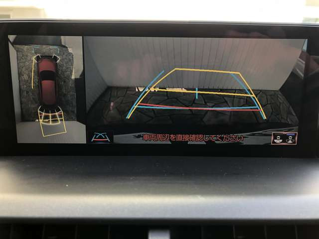 NX300 ブロンズ エディション