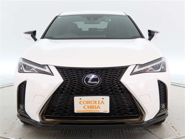 UX250h Fスポーツ