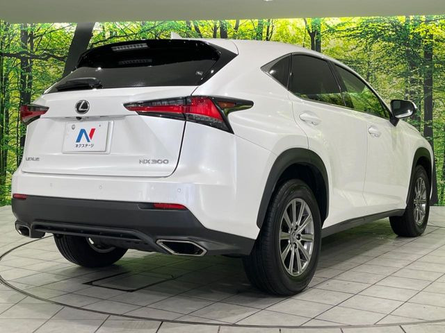 ���S���̃l�N�X�e�[�W���炨���񂹂��\��!�����̓X�܂ɓW�����Ă���N���}���C�ɂȂ�ꍇ���A�Ŋ��̓X�܂ł��������������Ƃ��\�ł�!���񎄂����ɗv�]������������������!���ʓr��p