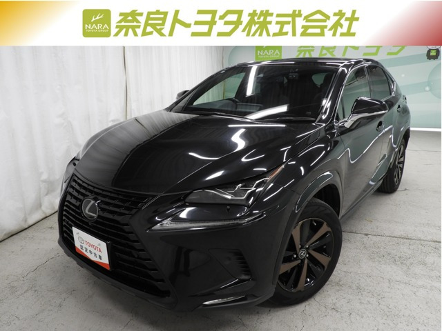 NX300 ブロンズ エディション