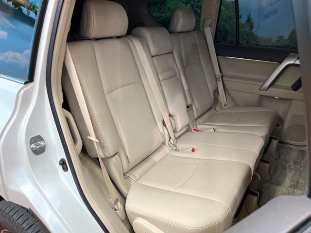 �㕔���Ȃ��C�ɂȂ�悤�ȃL�Y�E�����ւ��蓙�A�傫�ȃ_���[�W�͂Ȃ��A�ǍD�ȏ�Ԃł��B