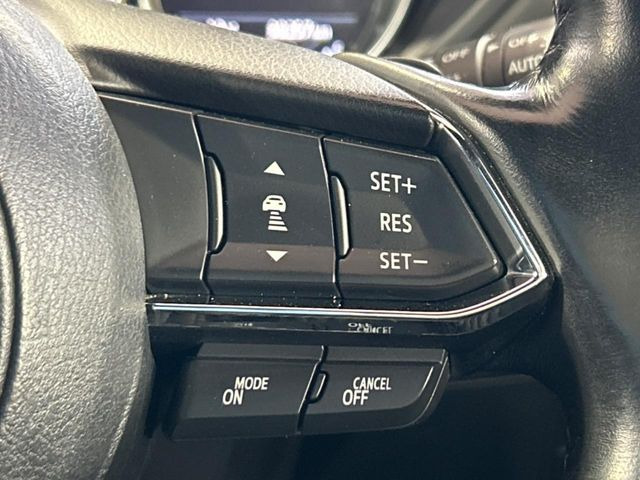 �y�}�c�_�E���[�_�[�N���[�Y�R���g���[���z�������H�ł̒��������s���y��!�����ő��x��ۂN���[�Y�R���g���[�����A�Փˌy���V�X�e���ƘA�g���A�O���̎ԗ������m���ĎԊԂ�ۂ悤�ɑ��x���߂��Ă���܂�!!